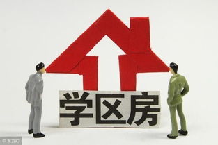 最新泰安市小區(qū)學區(qū)劃分明細表，速來轉發(fā)收藏！